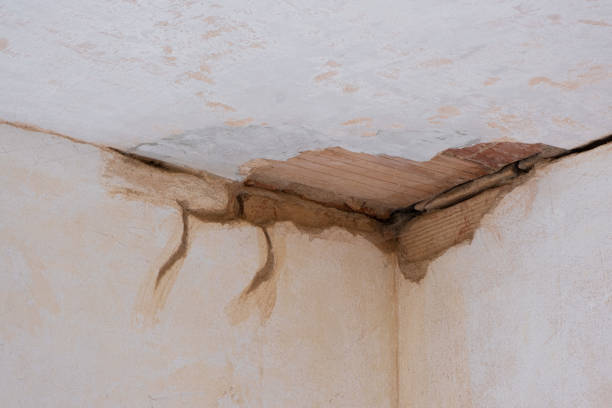 Trusted Pollock Pines, CA Water damage restoration Experts