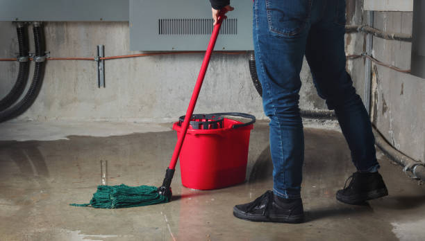 Best Sewage cleanup and water damage restoration  in Pollock Pines, CA