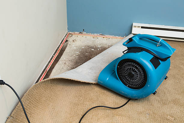 Best 24/7 water damage repair  in Pollock Pines, CA